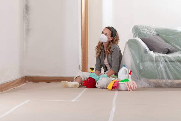 Reliable Mold Cleanup contractor in Frisco, TX by Cheap Mold Removal